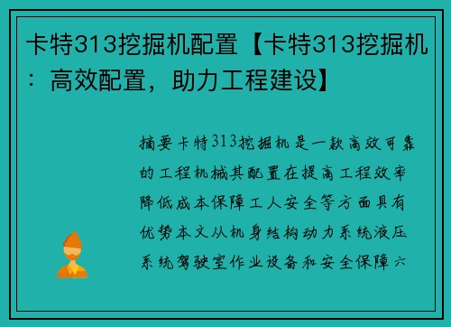 卡特313挖掘机配置【卡特313挖掘机：高效配置，助力工程建设】